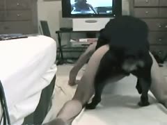 DIY Bestiality video